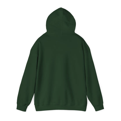 Smart Systems Hoodie