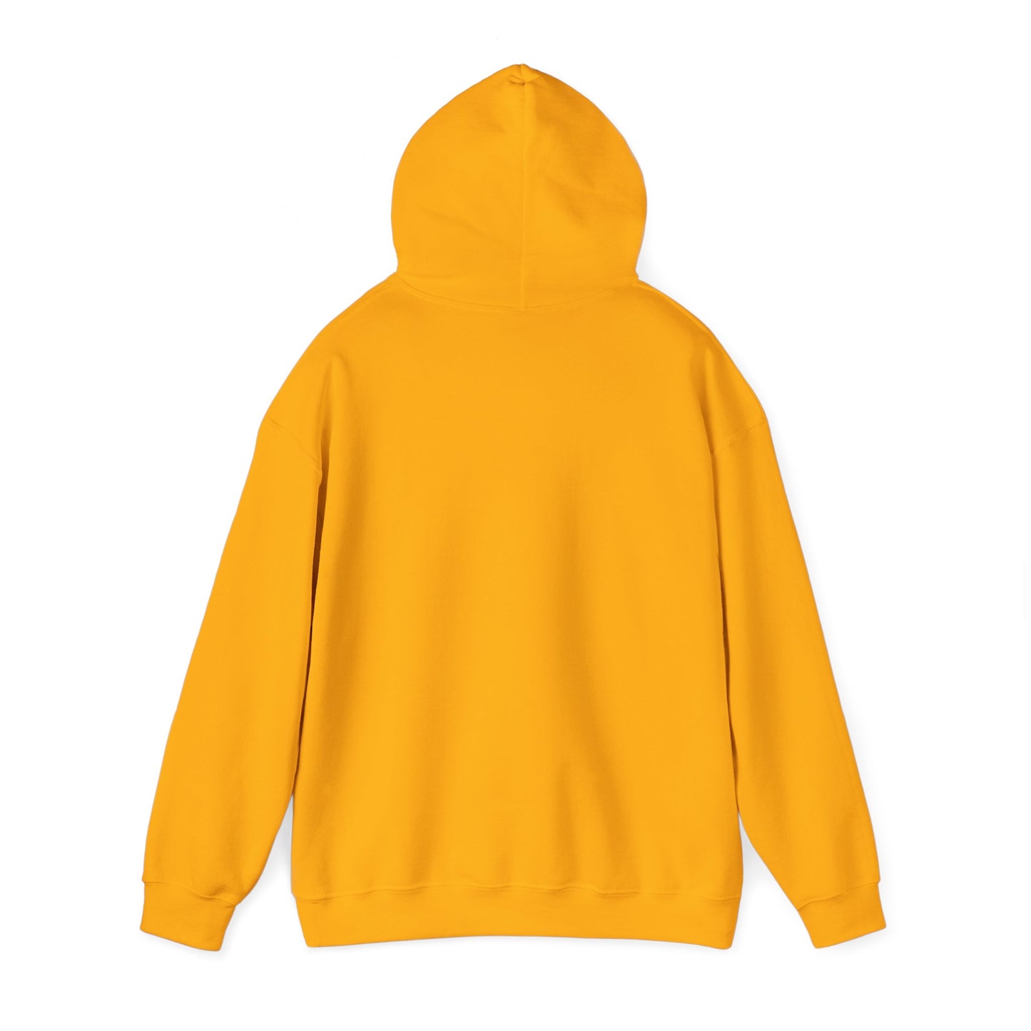 Digital Plug Hoodie