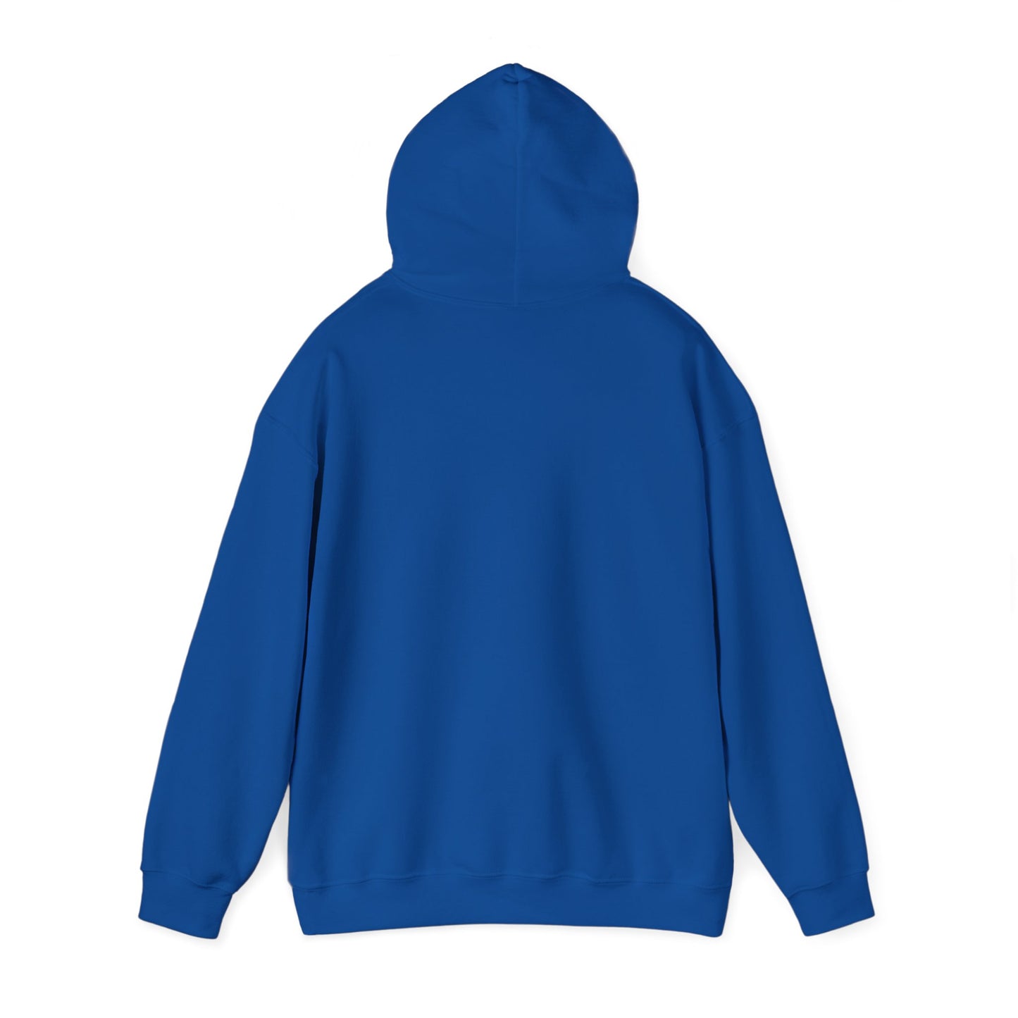 Smart Systems Hoodie