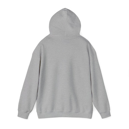 Smart Systems Hoodie