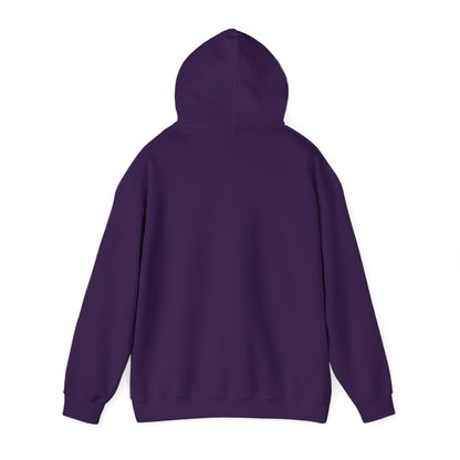 Smart Systems Hoodie