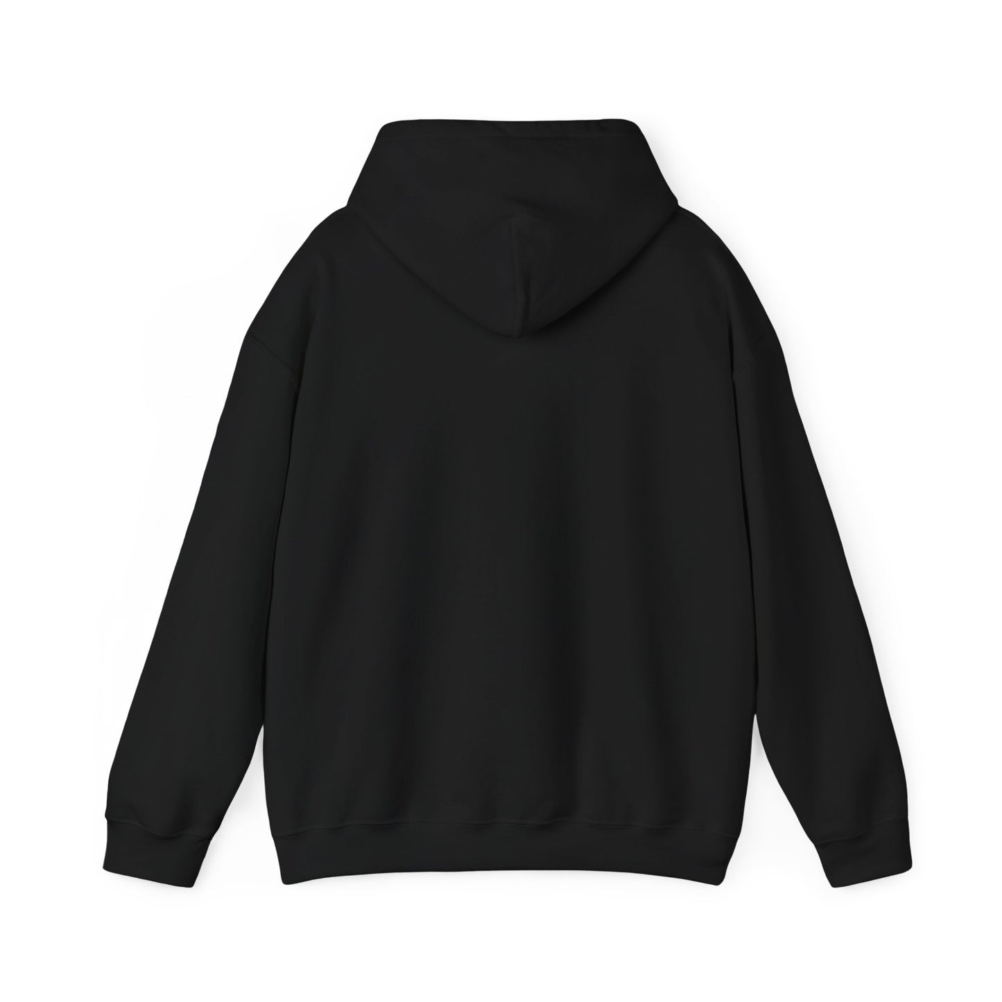 Smart Systems Hoodie