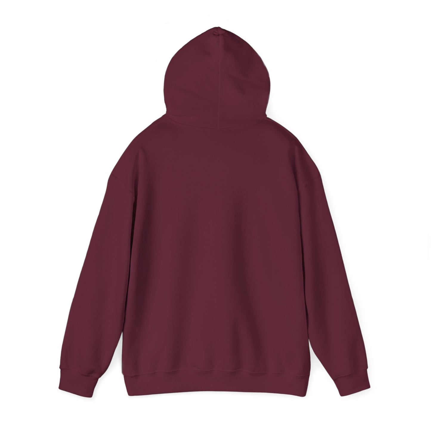 Smart Systems Hoodie