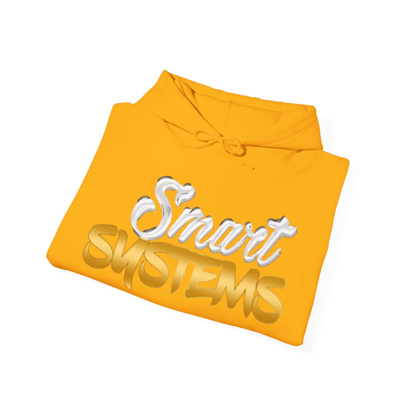 Smart Systems Hoodie