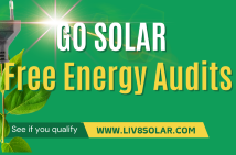 Free Energy Audit